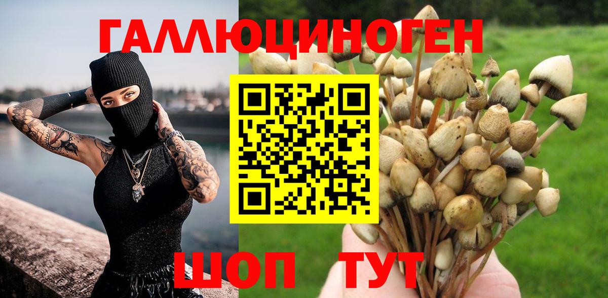 Протвино  Псилоцибиновые грибы GOLDEN TEACHER  Вход с VPN 